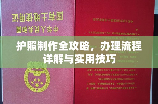 深圳护照制作全攻略，办理流程详解与实用技巧