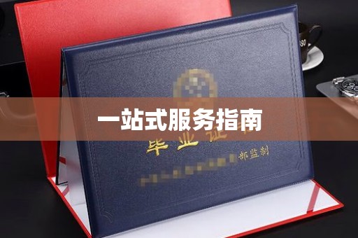 深圳一站式服务指南