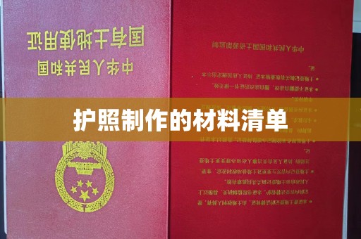 深圳护照制作的材料清单