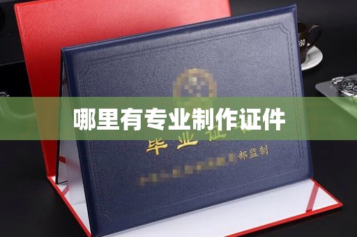 深圳哪里有专业制作证件