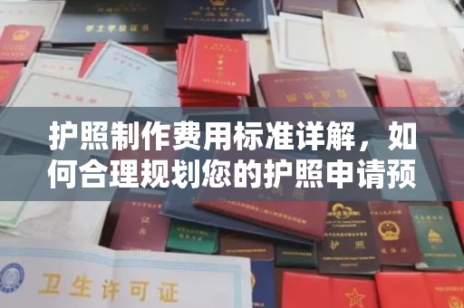 深圳护照制作费用标准详解，如何合理规划您的护照申请预算